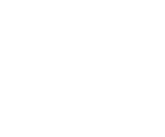 Bussförsäkring
